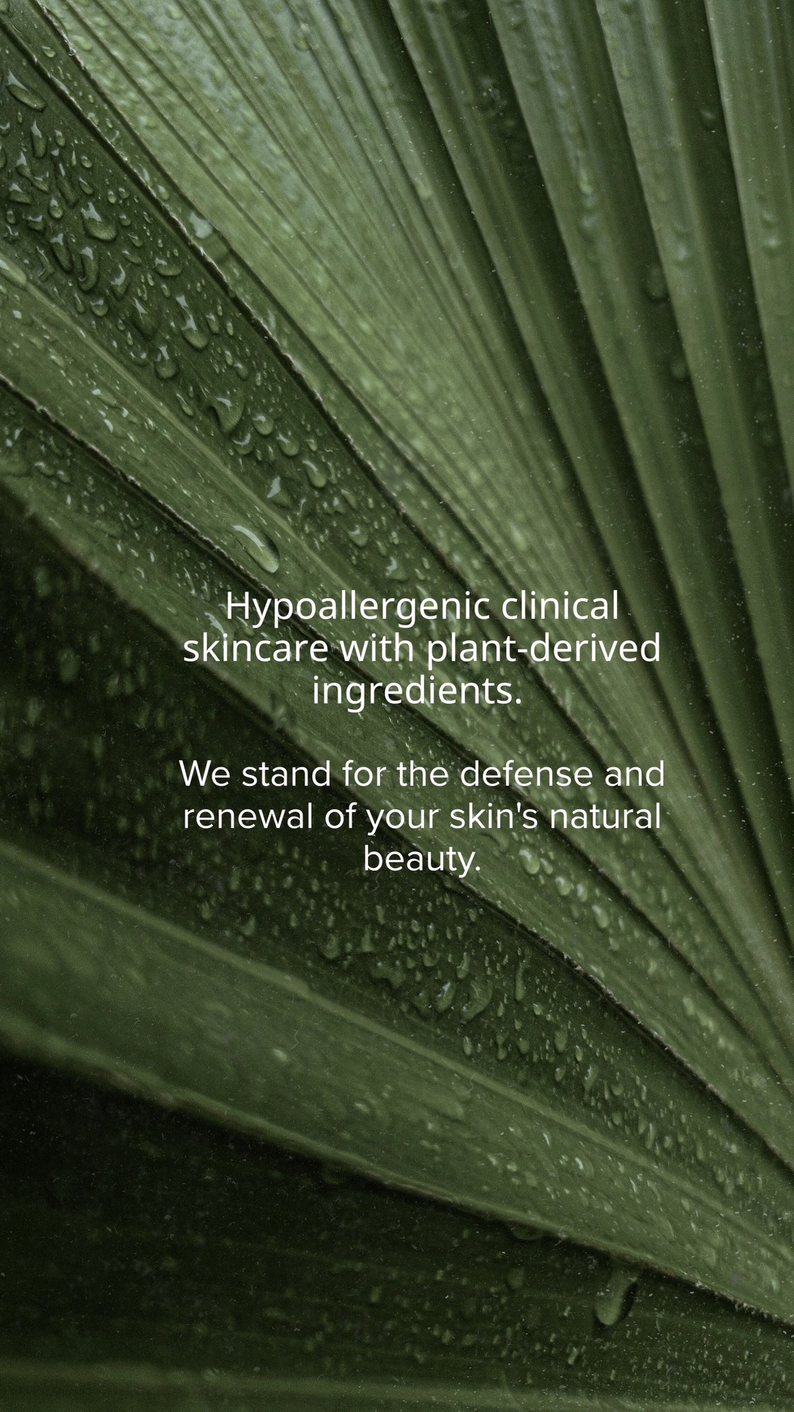 Hypoallergenic clinical skincare you can trust 🌿✨
Powered by plant-derived ingredients, the 47% Vita C Complex Ampoule works to brighten, soothe, and restore your skin—gently and effectively. We stand for the defense and renewal of your skin’s natural beauty 💛